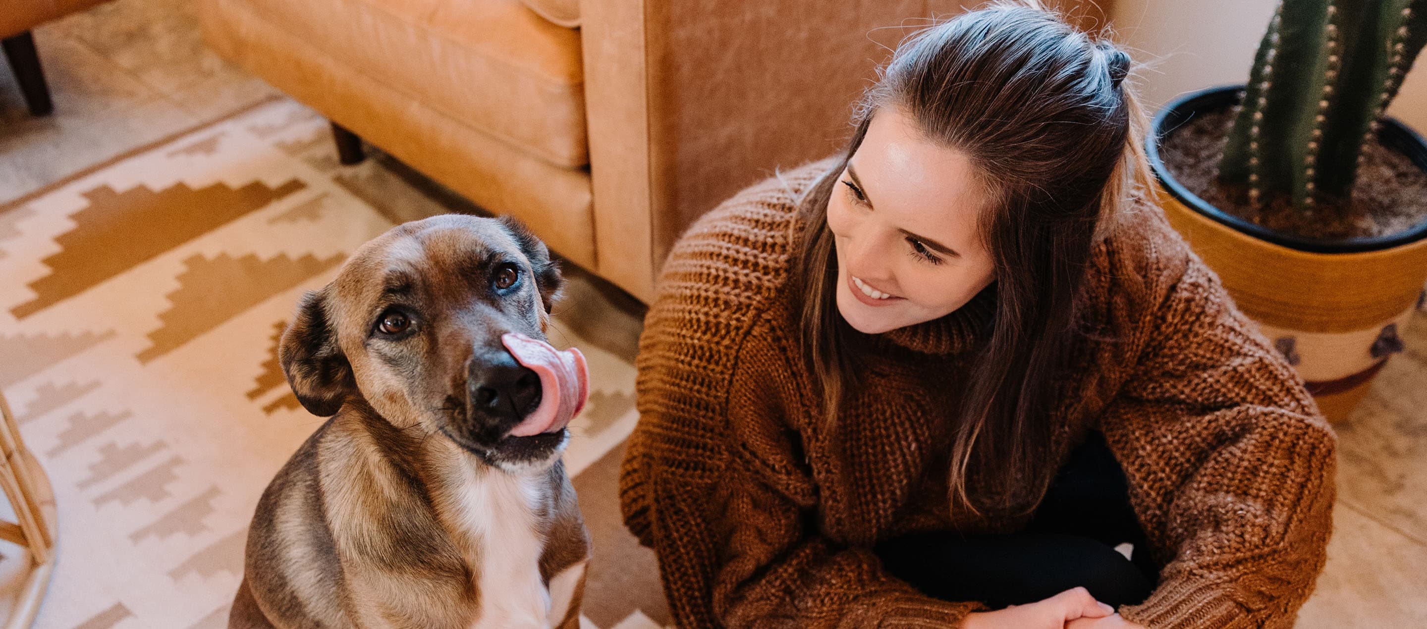 Tips on Adopting a Shelter Dog