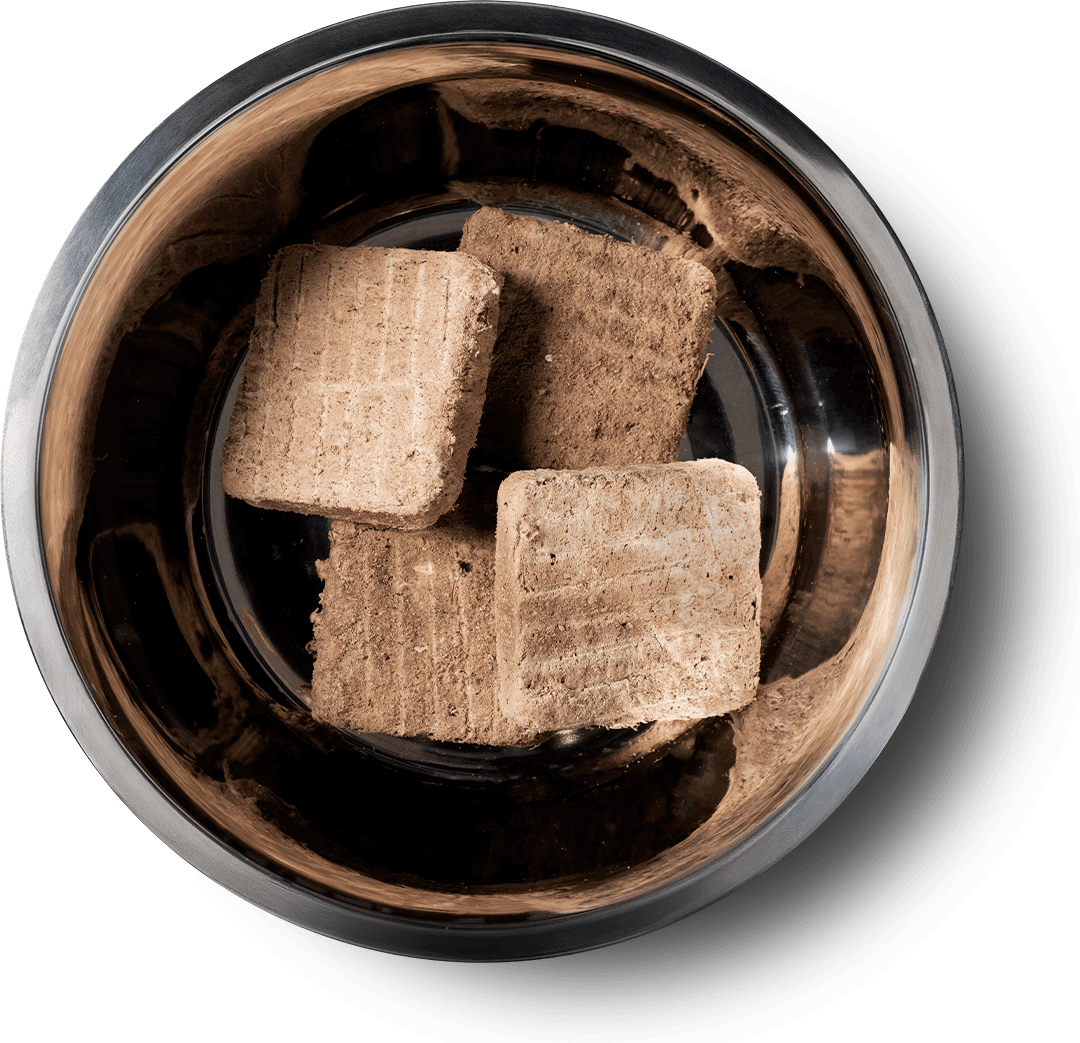 8103 Product Detail Page_Dog_Freeze Dried Entree_Mini Patties_Duck_14 oz_Benefits of Freeze Dried.jpg