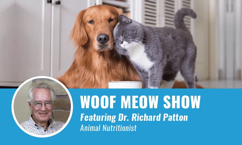 Pet Food And Nutrition With Dr. Richard Patton | Podcast
