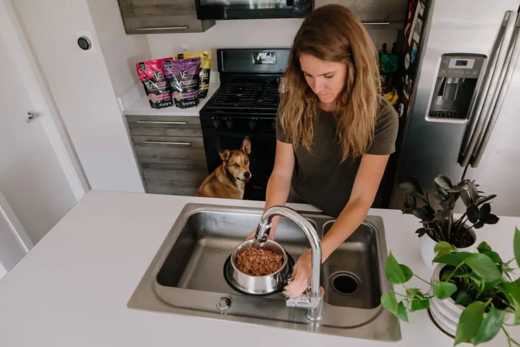 How Often and Why You Should Rotate Your Dog's Protein Sources in Their Diet