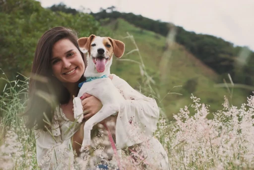 Unlocking the Differences: Freeze-Dried vs. Dehydrated Raw Dog Food: Which is the better option for your pet