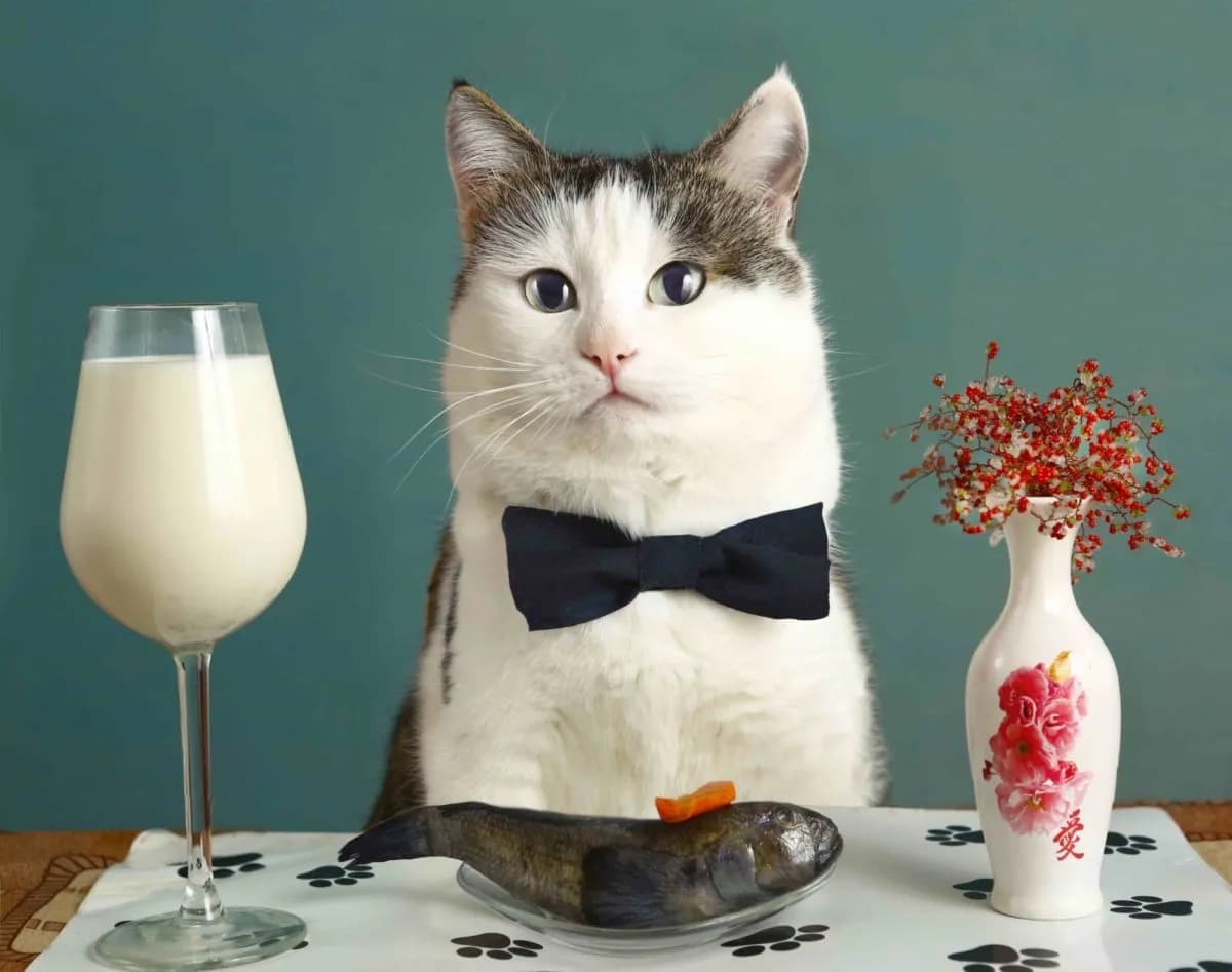 Why a Raw Food Diet is Safe and Beneficial for Dogs and Cats