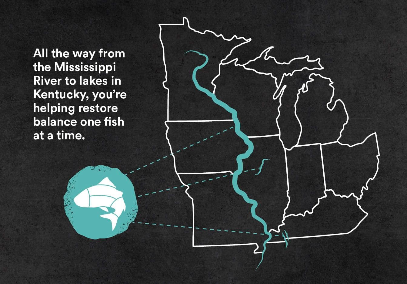 All the way from the Mississippi River to lakes in Kentucky, you're helping restore balance one fish at a time.