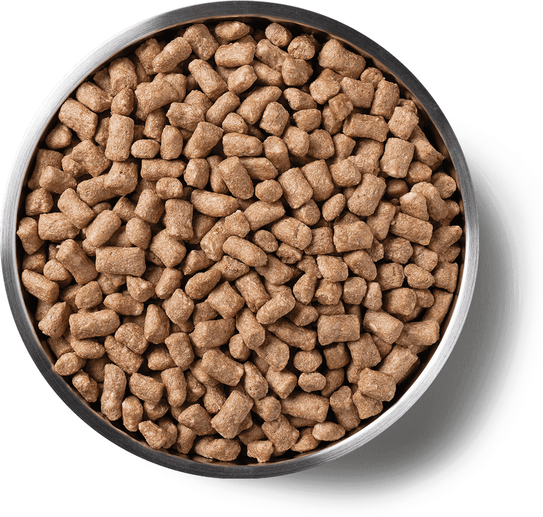 9008,9009 Product Detail Page_Cat_Freeze Dried Entree_Mini Nibs_Rabbit_Benefits of Freeze Dried.png