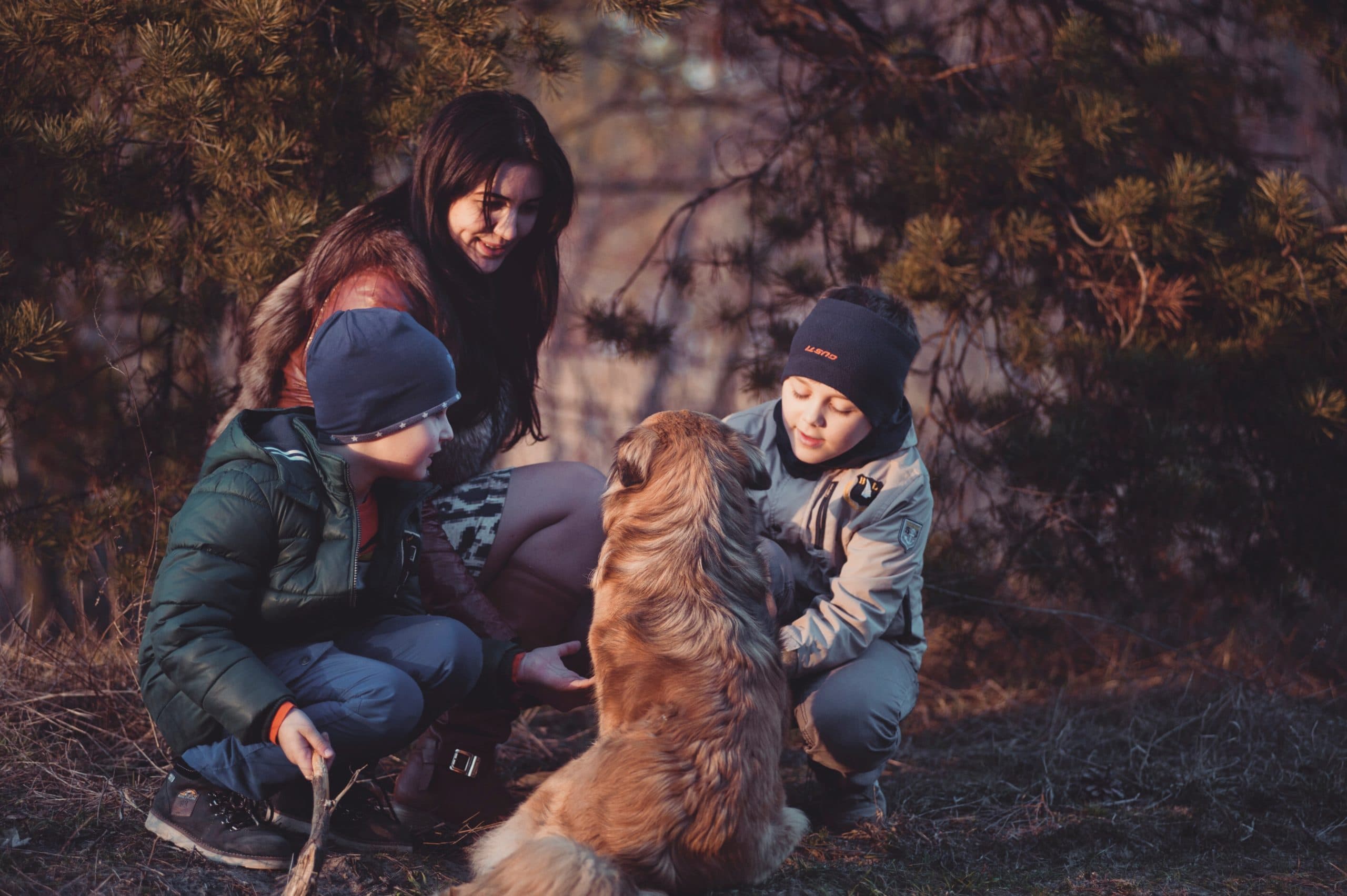How Your Dog May Be Benefiting Your Heart Health