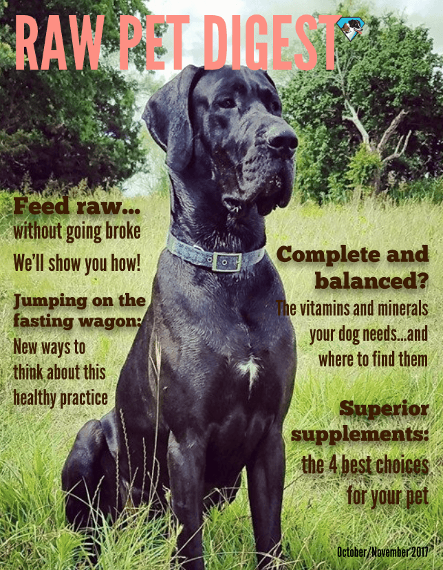 Spotlight on Health: Vital Essentials in Raw Pet Digest